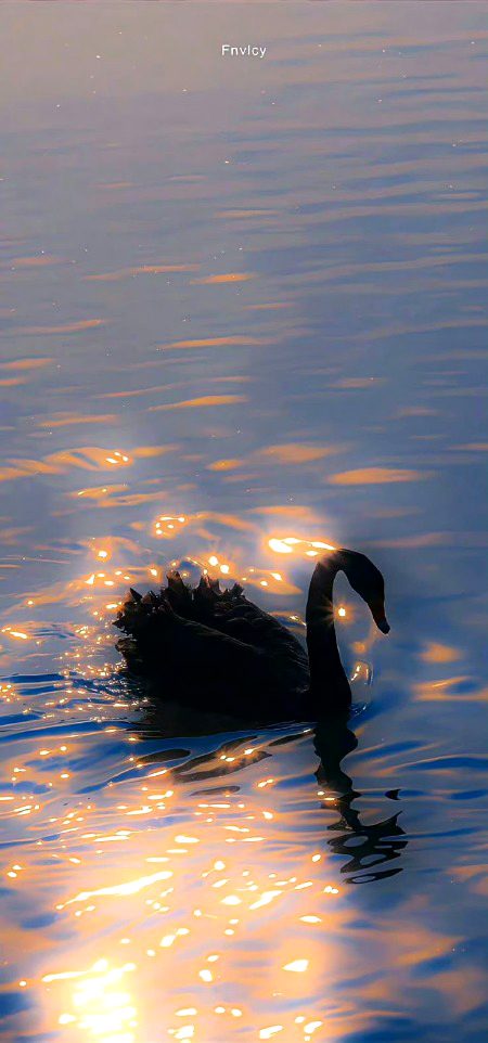 Beautiful Nature image