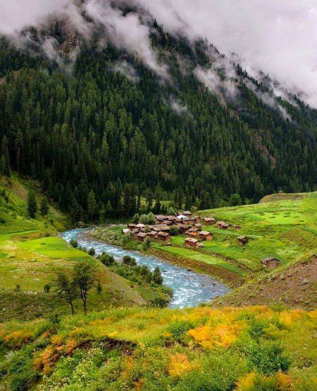 Beautiful Nature image