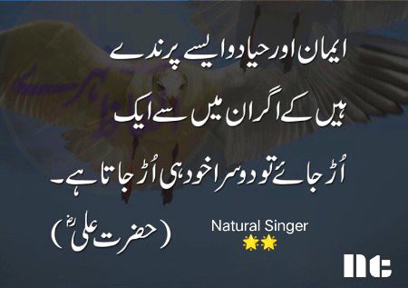 Islamic Quotes image