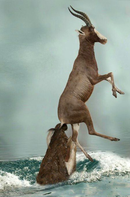 Beautiful Nature image