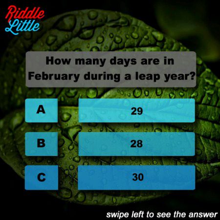 Knowledge Test image
