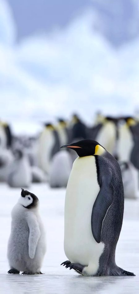 Beautiful Nature image