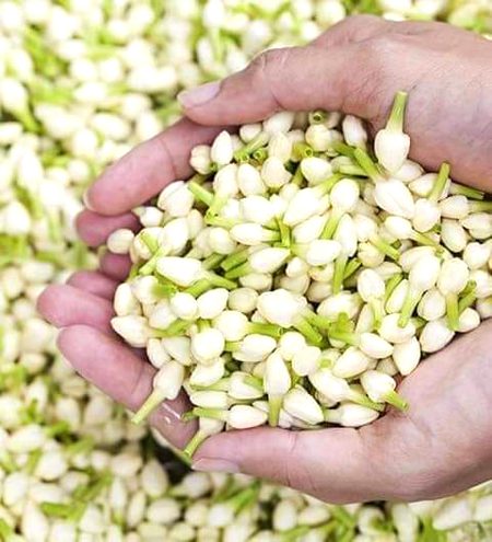 پرسکون زندگی گزارنا چاہتے ہو تو مثبت سوچا کریں
پھر ہر کام میں اللّہ کی حکمت نظرآنا شروع ہوجائيگی۔۔۔