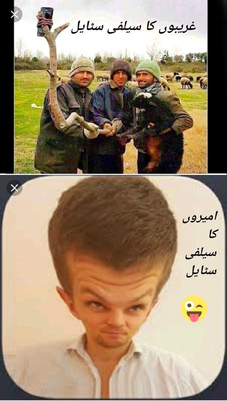 Memes & Satire image