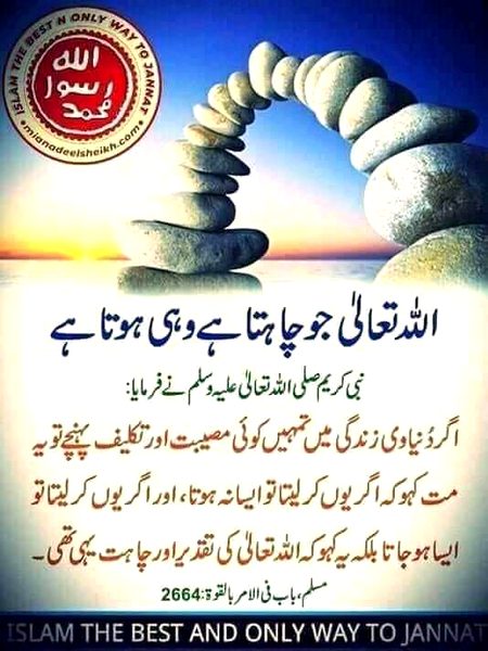 Islamic Quotes image