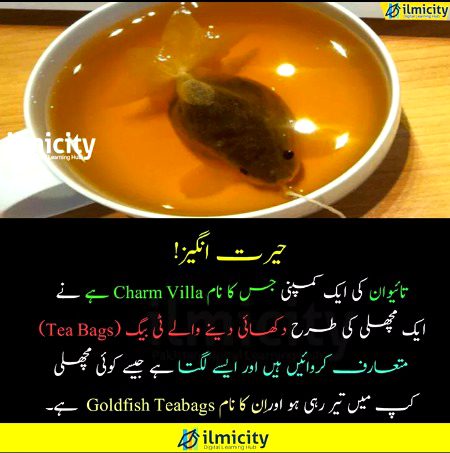 Interesting Posts image