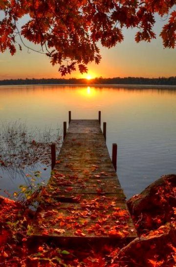Beautiful Nature image