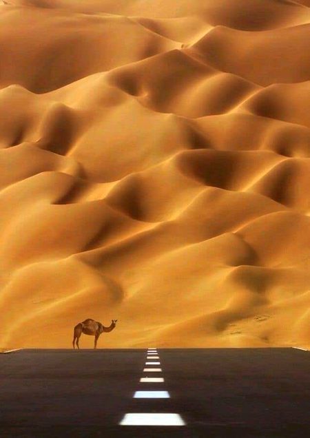 🏜️🏜️🏜️🏜️🏜️🐫🐪🐪🐪🐫Dubai ❤️❤️🎈