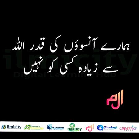 Muskii jana