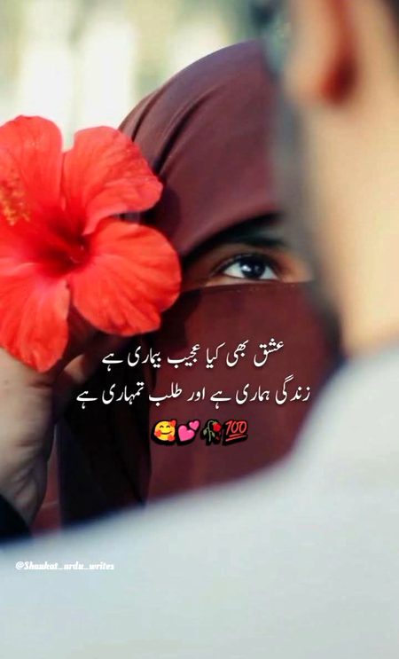 Qurban