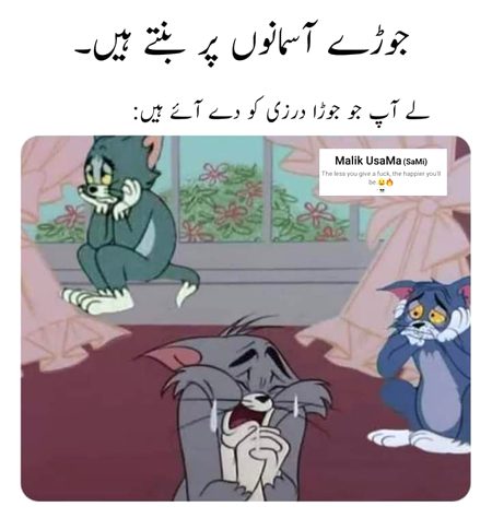 Memes & Satire image