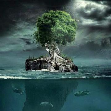 Beautiful Nature image