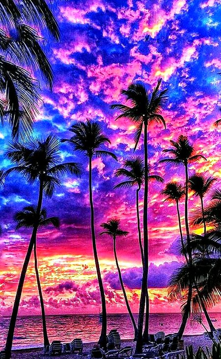 Beautiful Nature image
