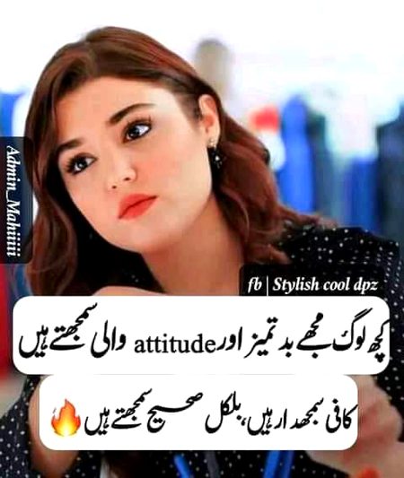 Attitude Quotes image