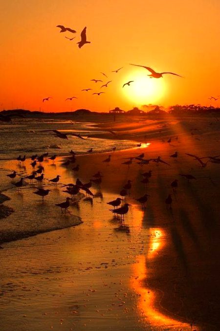 Beautiful Nature image