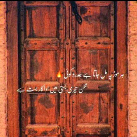 🌹Muntazir🌹