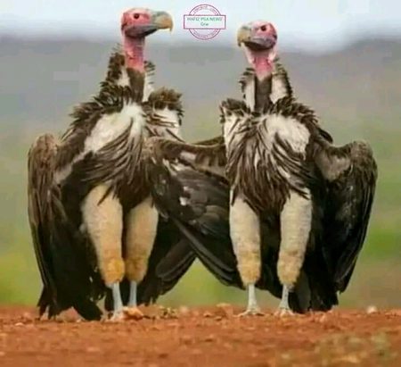 Beautiful Nature image