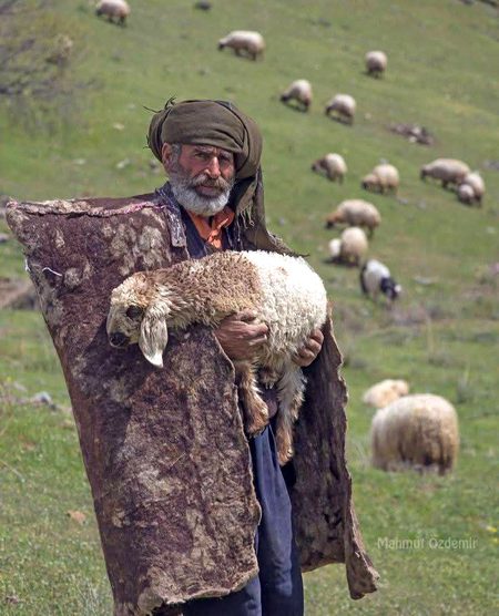 Beautiful Nature image