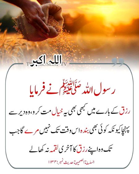 Islamic Quotes image