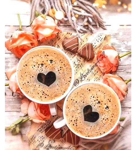 میں نے سوچا چائے پر اک کتاب لکھوں 
جو نہیں پیتے انہیں کمبخت اور بیزار 
𝓜𝓨 𝓛𝓞𝓥𝓔𝓛𝓨 𝓣𝓔𝓐☕☕☕☕ mein tum or chaey