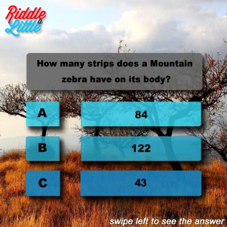 Knowledge Test image