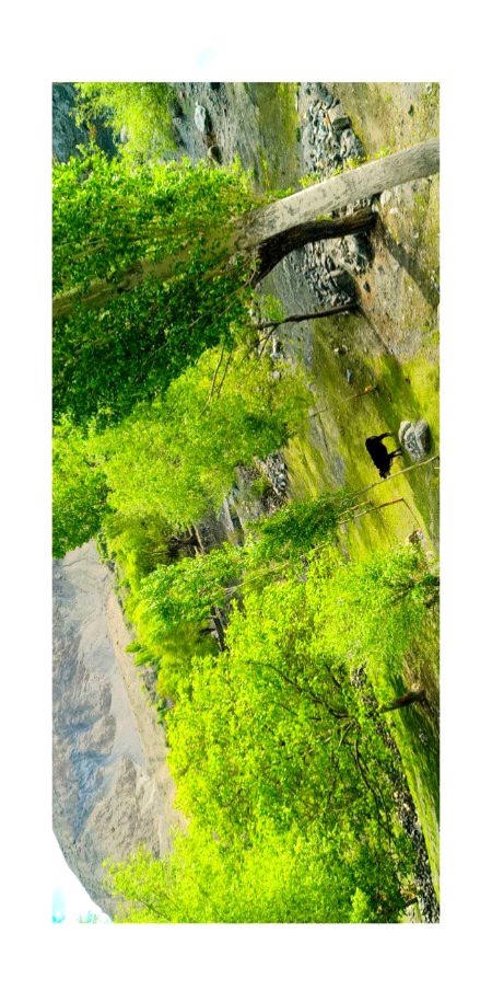 Beautiful Nature image