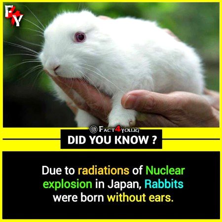 Interesting Posts image