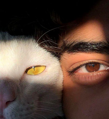 Beautiful Nature image