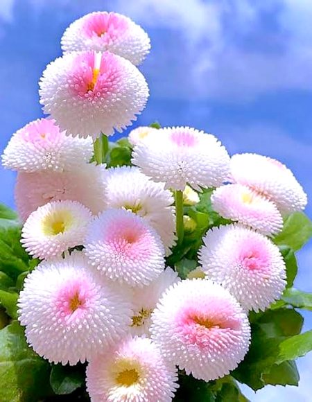 Beautiful Nature image