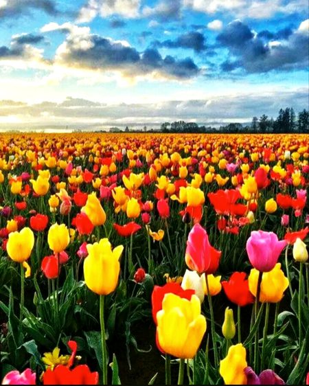 Beautiful Nature image