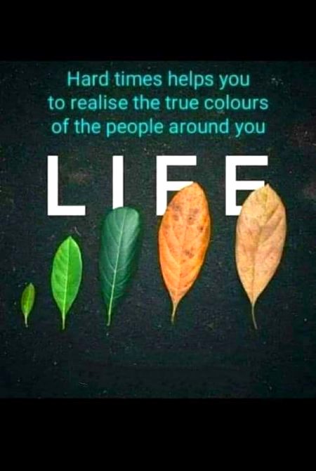 Life is A Gift🌹, Be Grateful To Live🌷 Another Beautiful day💫 Don't Waste..
it.✨