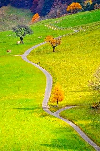 Beautiful nature😍