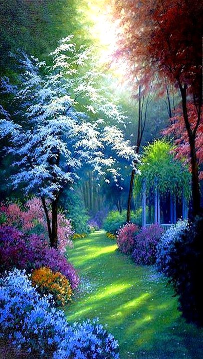 Beautiful nature