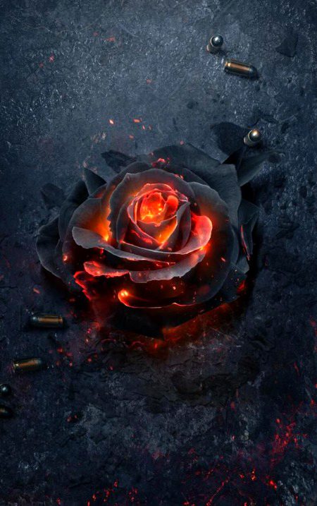 .q1 all 6 page's like done ✅✅