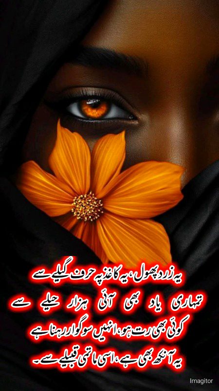 Sad Poetry image