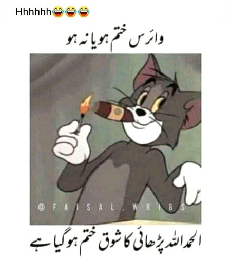 Memes & Satire image