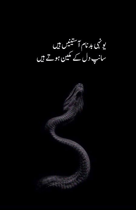 Baat to sach hai mager baat hai ruswai ki...m