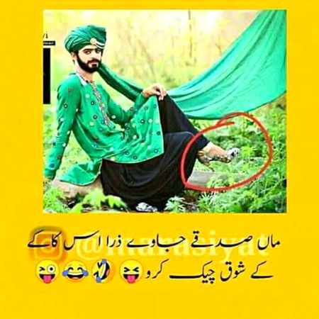 Memes & Satire image