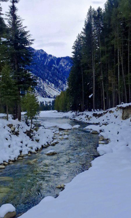 Beautiful Nature image