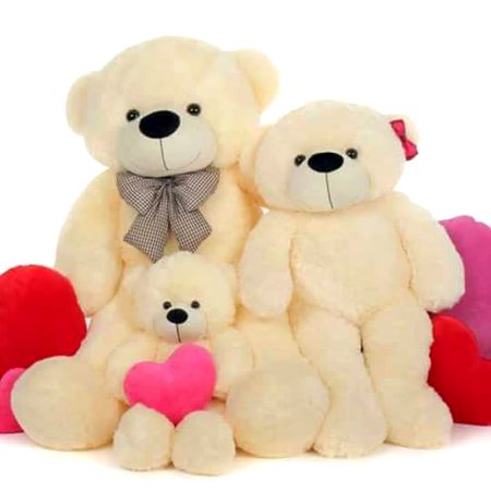 ranjish hī sahī dil hī dukhāne ke liye aa 
aa phir se mujhe chhoḌ ke jaane ke liye aa  love murshad love taddy