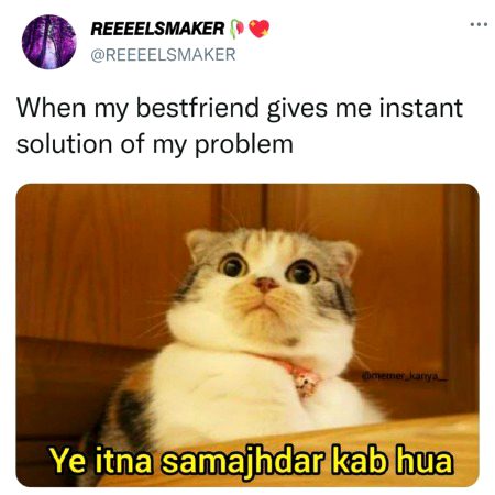 Memes & Satire image