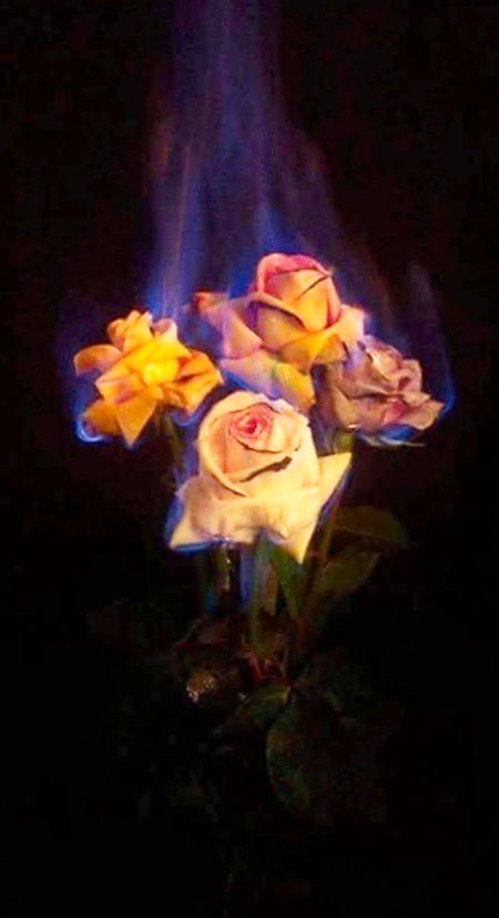 اس طرح جل رہا ہے دل جیسے
پھول کی پنکھڑی کو آگ لگے