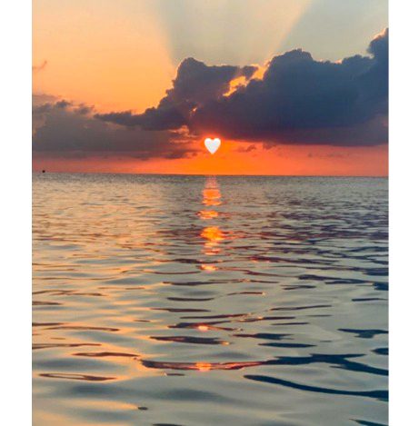 Beautiful Nature image