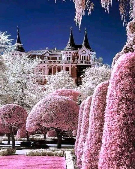 Beautiful Nature image