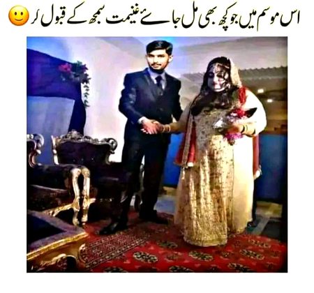 Memes & Satire image