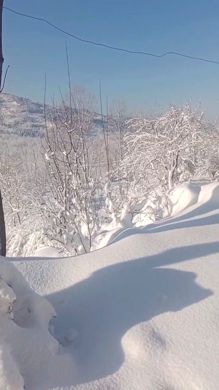 Beautiful Nature image