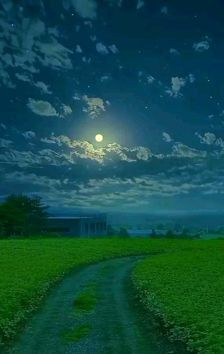 Beautiful Nature image