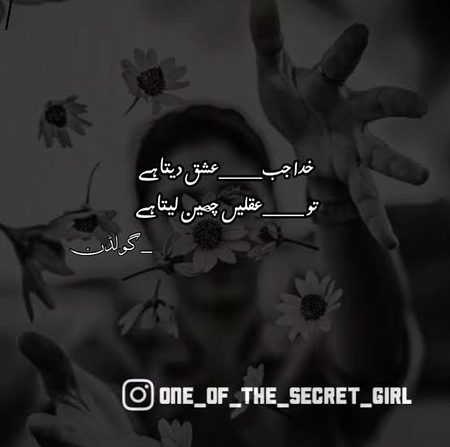 Iqaly Cheen Leta hy🙃