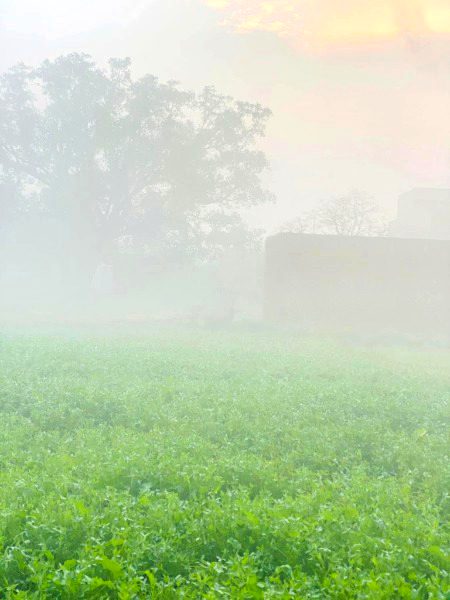 Beautiful Nature image