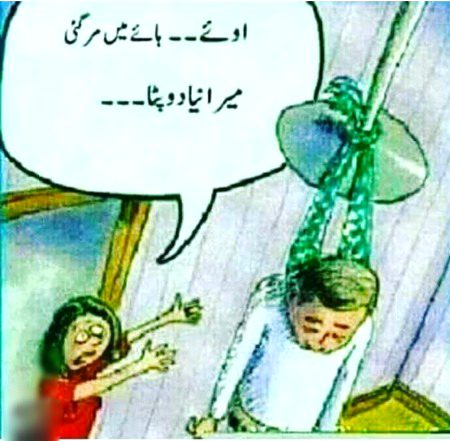 Memes & Satire image